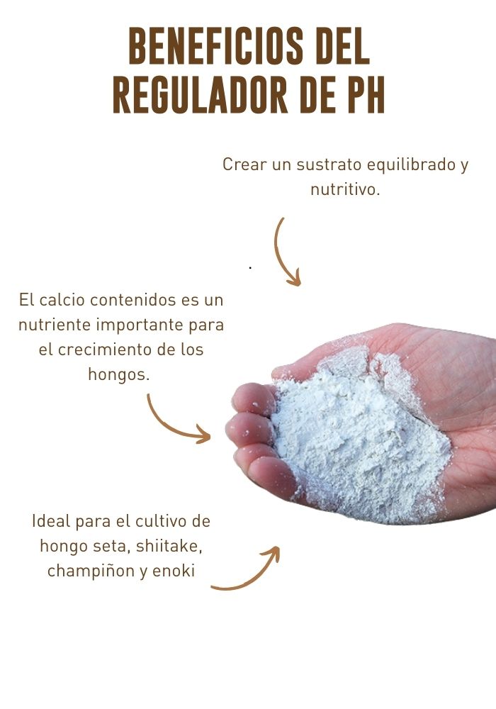 Regulador de pH para el cultivo de hongos