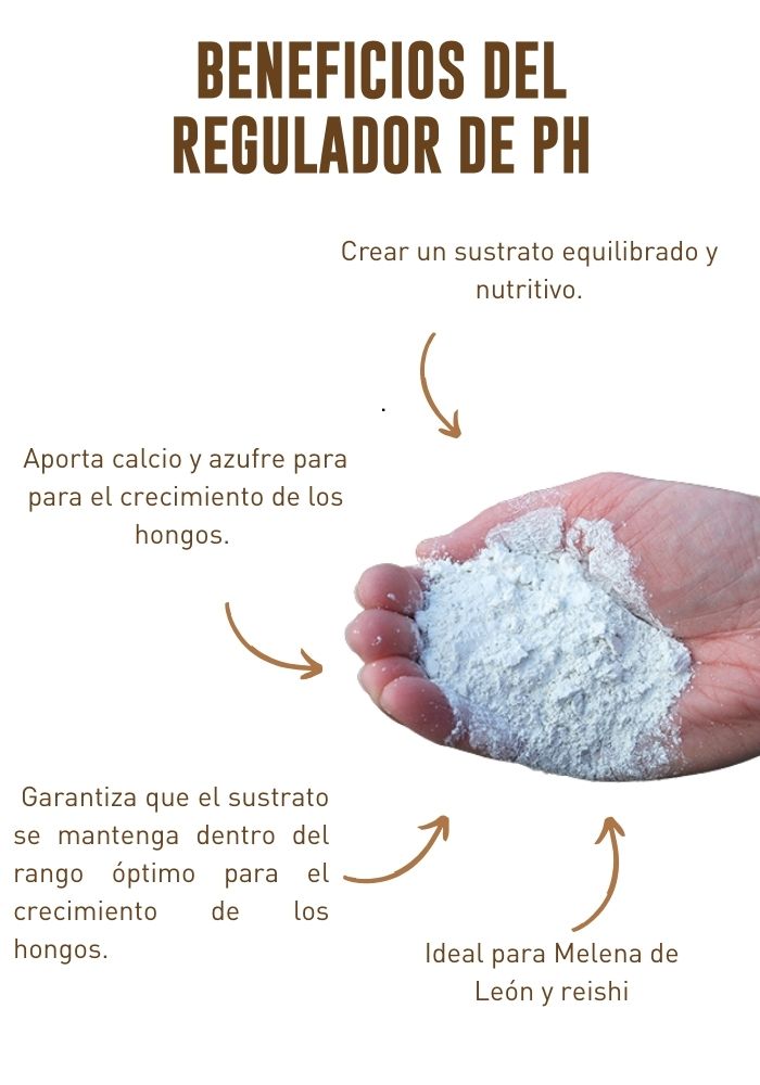 Regulador de pH para el cultivo de hongos