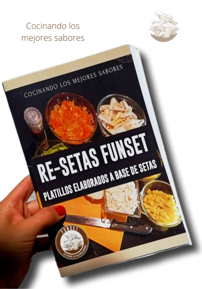 RECETARIO DE COCINA FUNSET (VIRTUAL)®