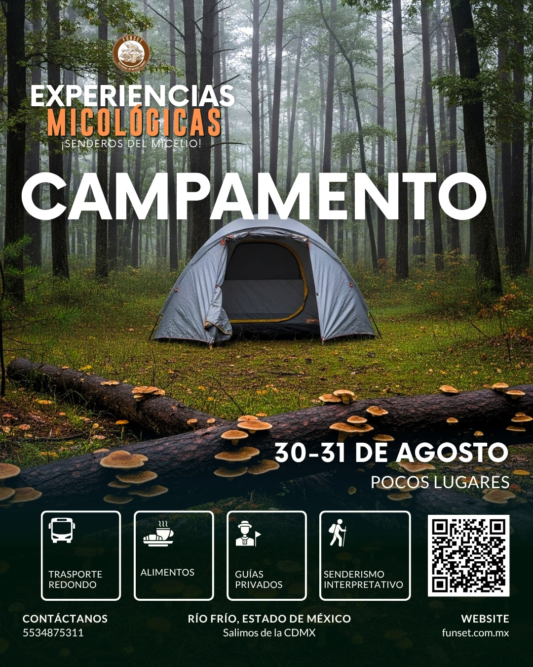 CAMPAMENTO FUNGI