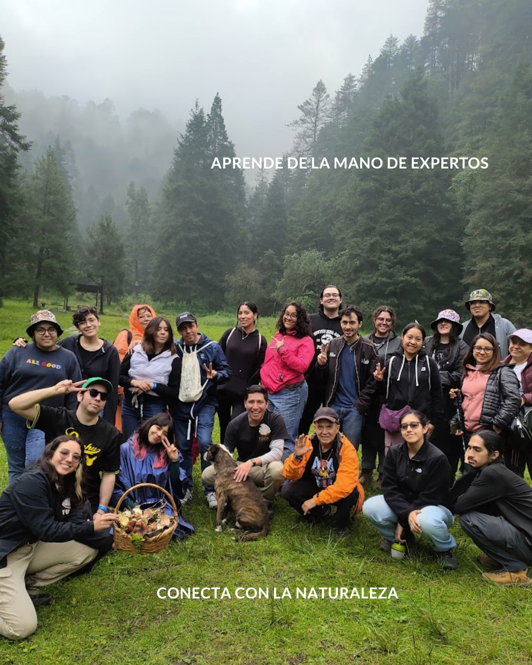 CAMPAMENTO FUNGI