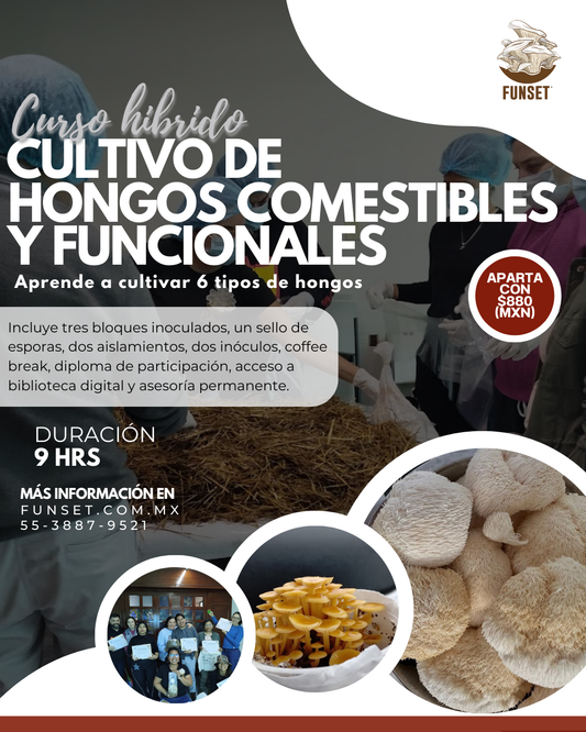 TALLER HIBRIDO CULTIVO DE HONGOS GOURMET Y FUNCIONALES