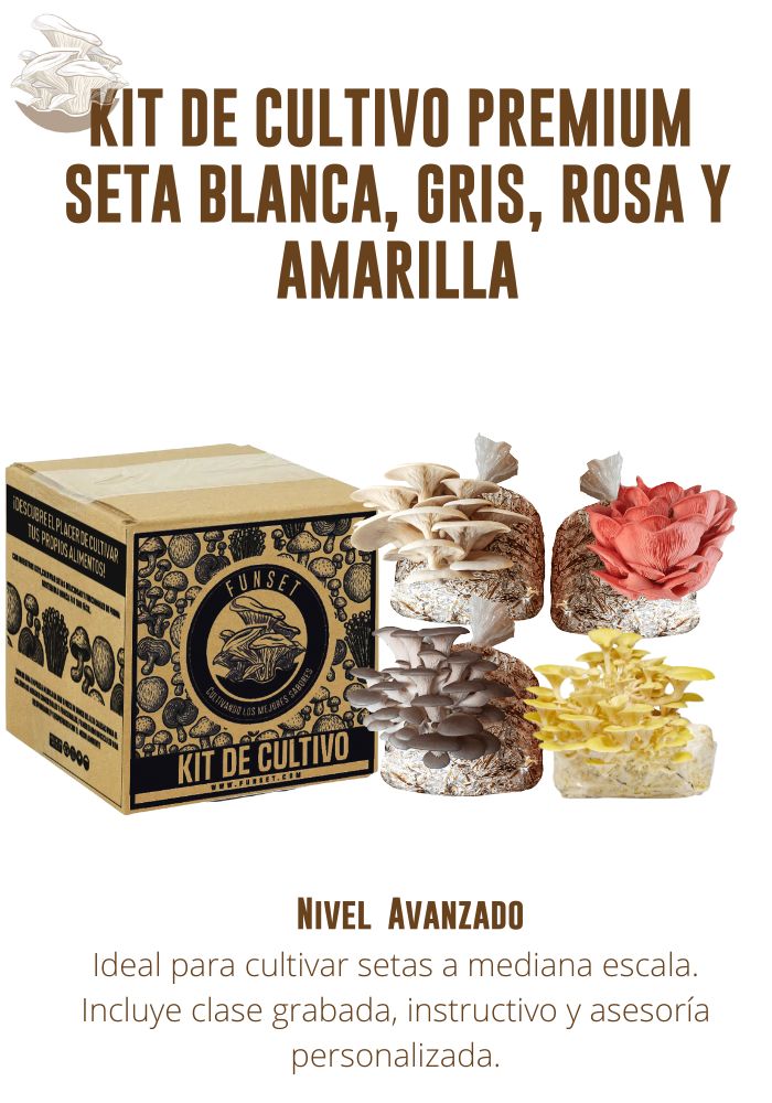 KIT PREMIUM CULTIVO DE SETAS