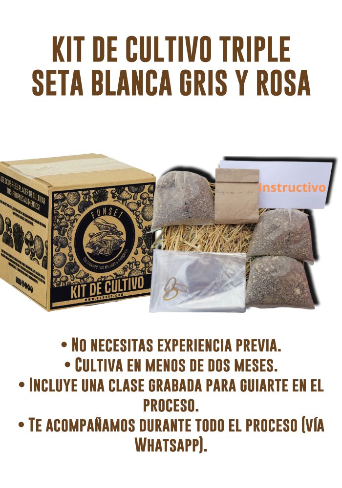 KIT TRADICIONAL TRIPLE CULTIVO DE SETAS
