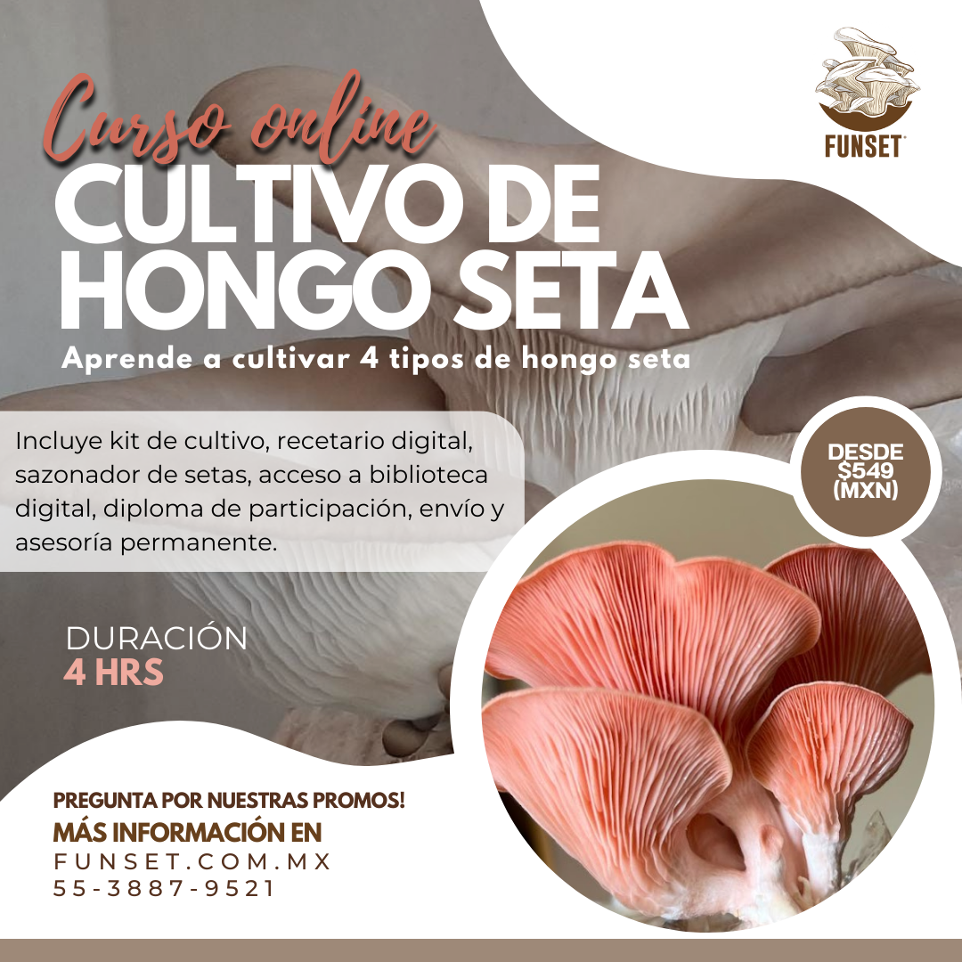 CURSO ONLINE "CULTIVO DE SETAS COMESTIBLES"