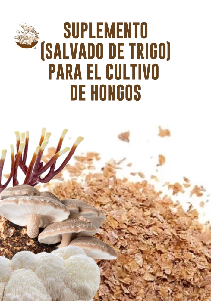 SALVADO DE TRIGO DE USO AGRICOLA