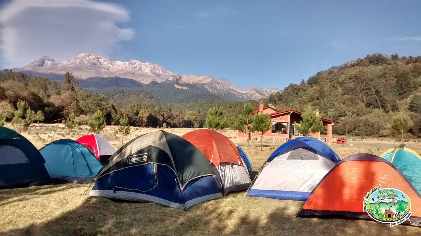 CAMPAMENTO FUNGI