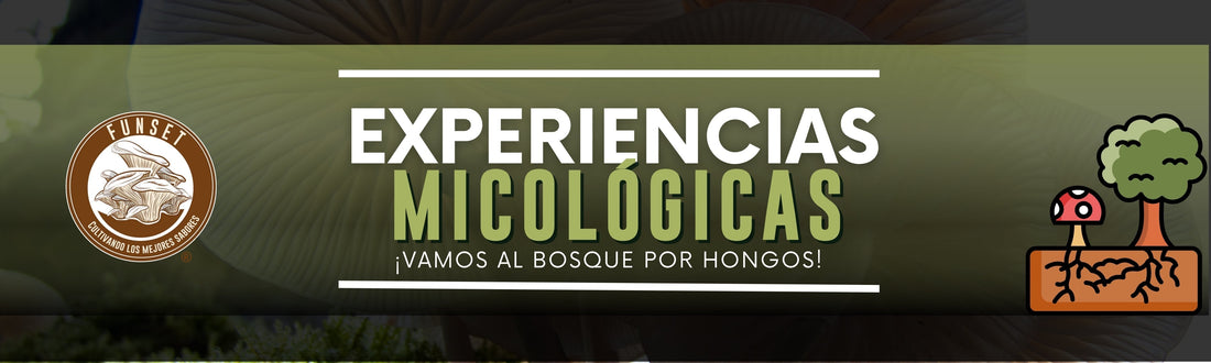 Experiencias micológicas 2025
