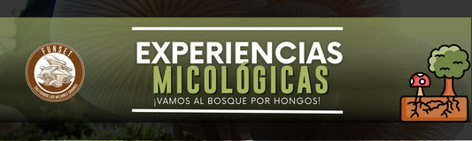 Experiencias micológicas 2025