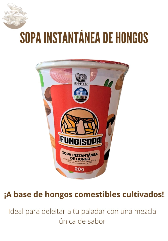 SOPA INSTANTÁNEA DE HONGOS