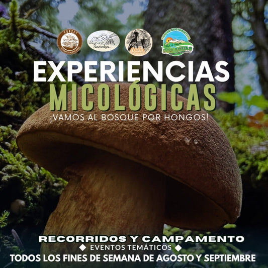 EXPERIENCIAS FUNGI: SENDEROS DEL MICELIO