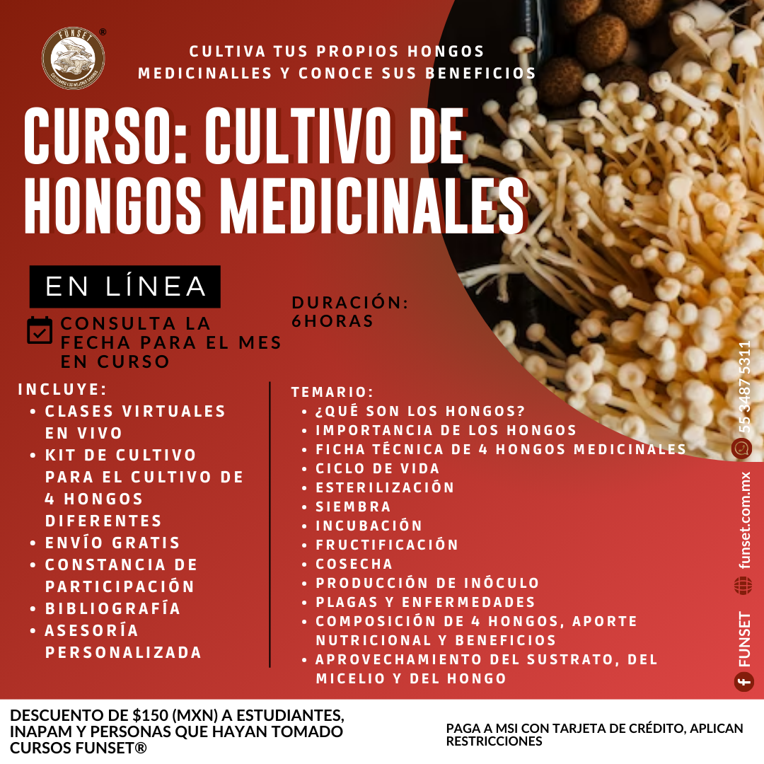 CURSO ONLINE "CULTIVO DE HONGOS COMESTIBLES Y MEDICINALES"