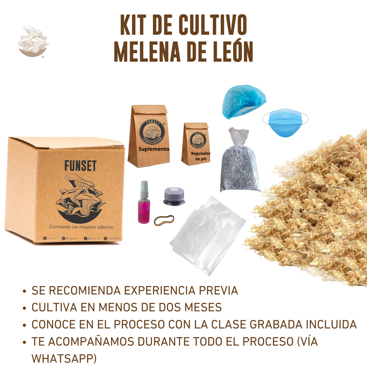 KIT DE CULTIVO DE HONGO MELENA DE LEÓN