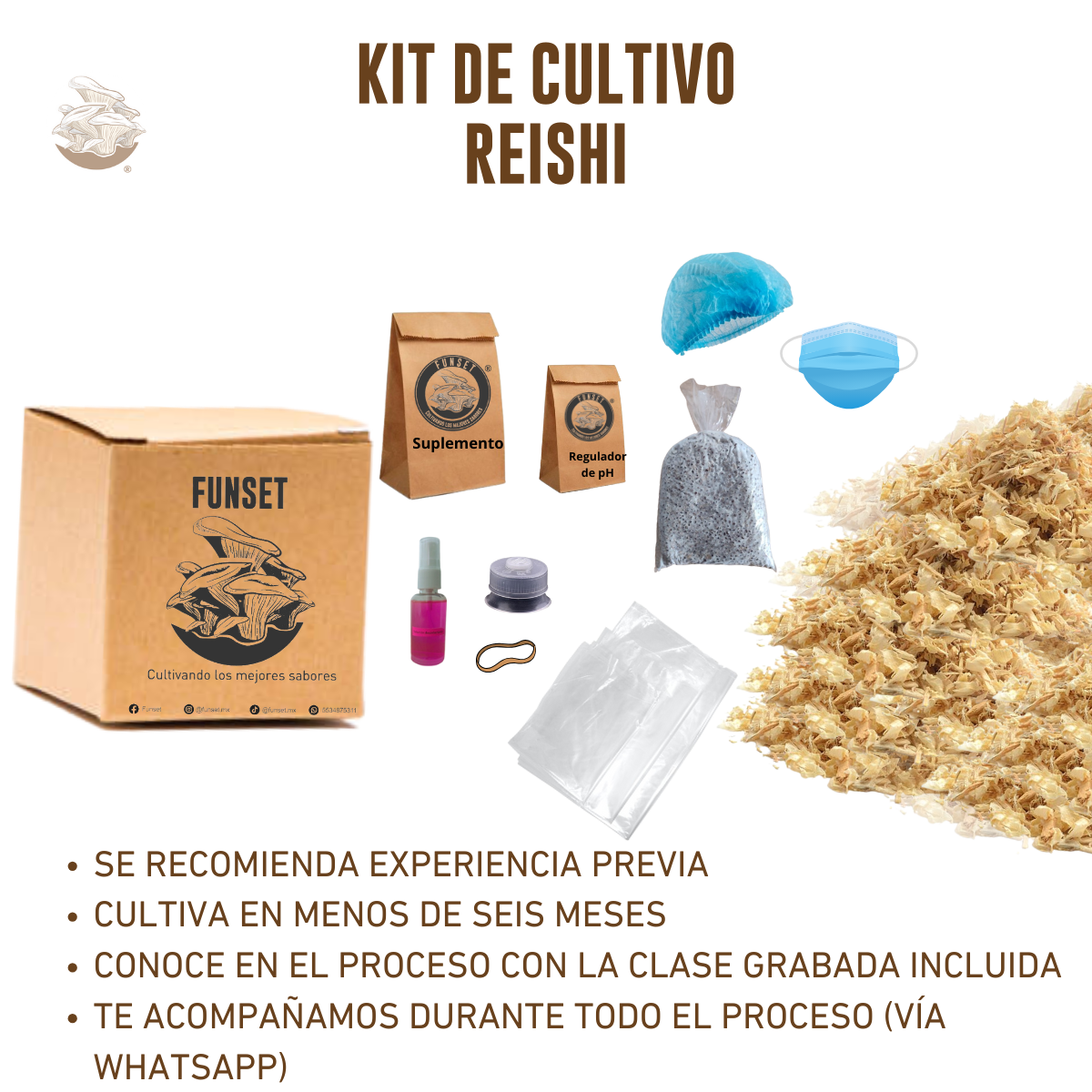 KIT DE CULTIVO DE HONGO REISHI