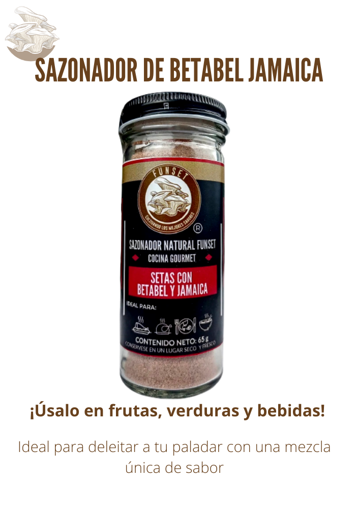 SAZONADOR NATURAL SETAS CON BETABEL Y JAMAICA