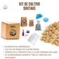 KIT DE CULTIVO DE HONGO SHIITAKE