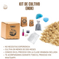 KIT DE CULTIVO DE HONGO ENOKI