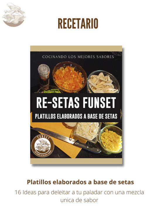 RECETARIO DE COCINA FUNSET®