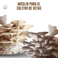 MICELIO SETA GRIS/BLANCA