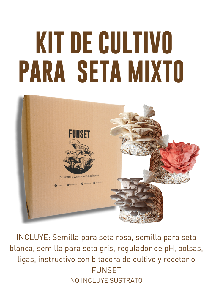 KIT MIXTO CULTIVO DE SETAS