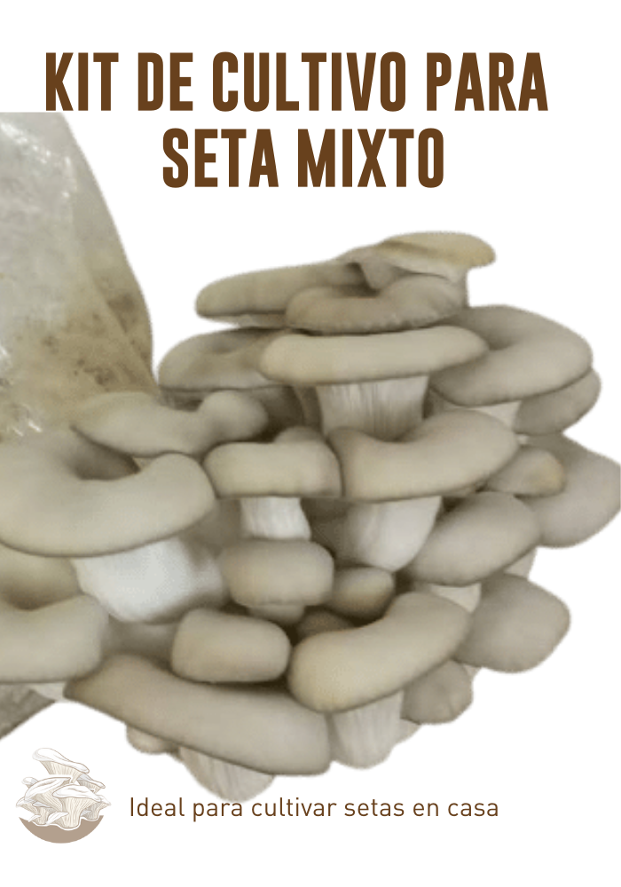 KIT MIXTO CULTIVO DE SETAS