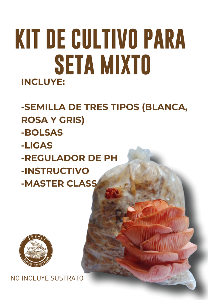 KIT MIXTO CULTIVO DE SETAS