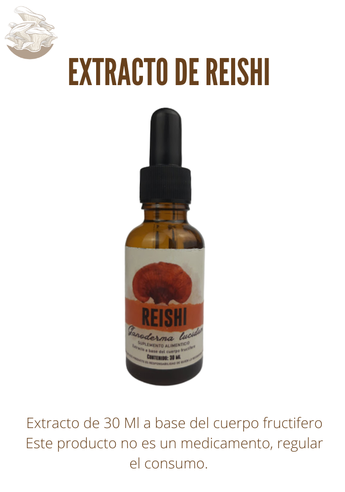 EXTRACTO HONGO REISHI (GANODERMA LUCIDUM)