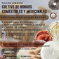 TALLER HIBRIDO CULTIVO DE HONGOS COMESTIBLES Y MEDICINALES