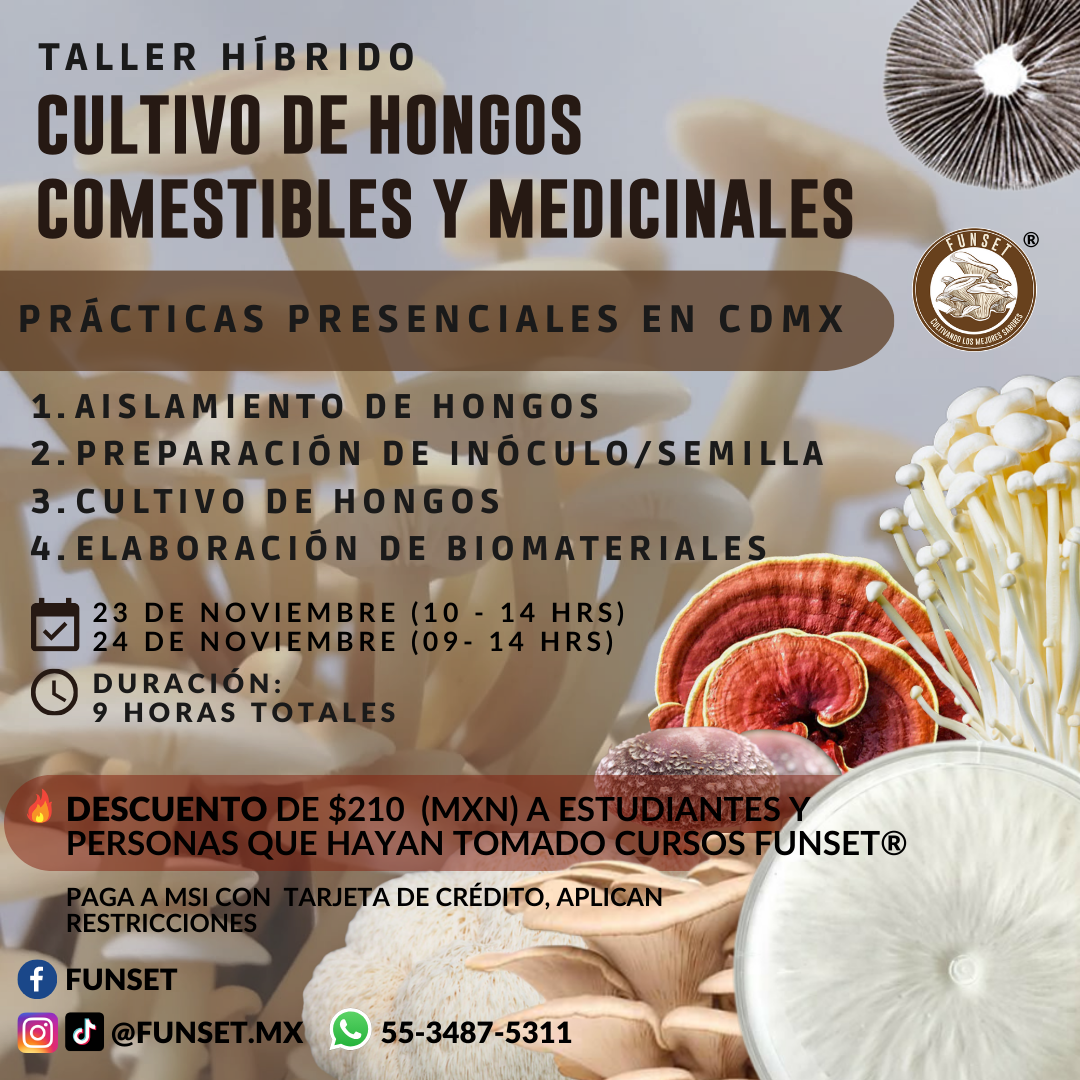 TALLER HIBRIDO CULTIVO DE HONGOS COMESTIBLES Y MEDICINALES