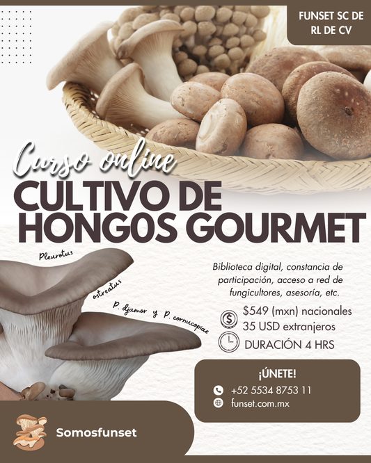 CURSO ONLINE "CULTIVO DE SETAS COMESTIBLES"