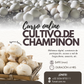 CURSO ONLINE "CULTIVO DE CHAMPIÑÓN"