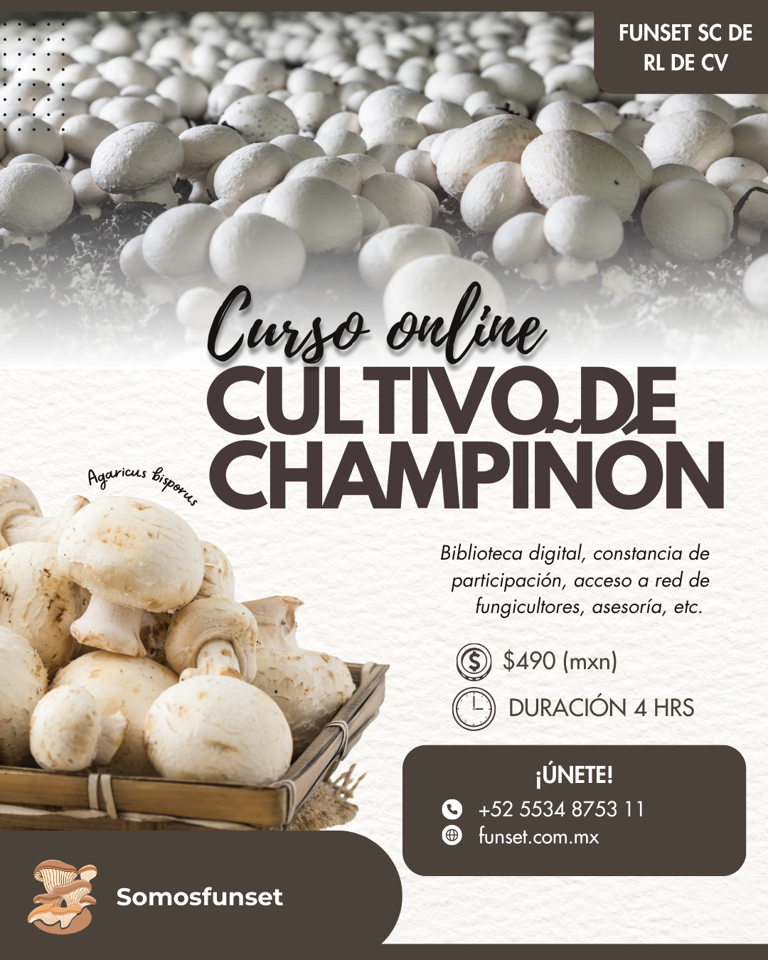 CURSO ONLINE "CULTIVO DE CHAMPIÑÓN"