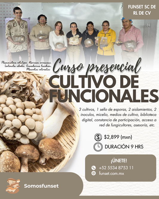 TALLER HIBRIDO CULTIVO DE HONGOS GOURMET Y FUNCIONALES