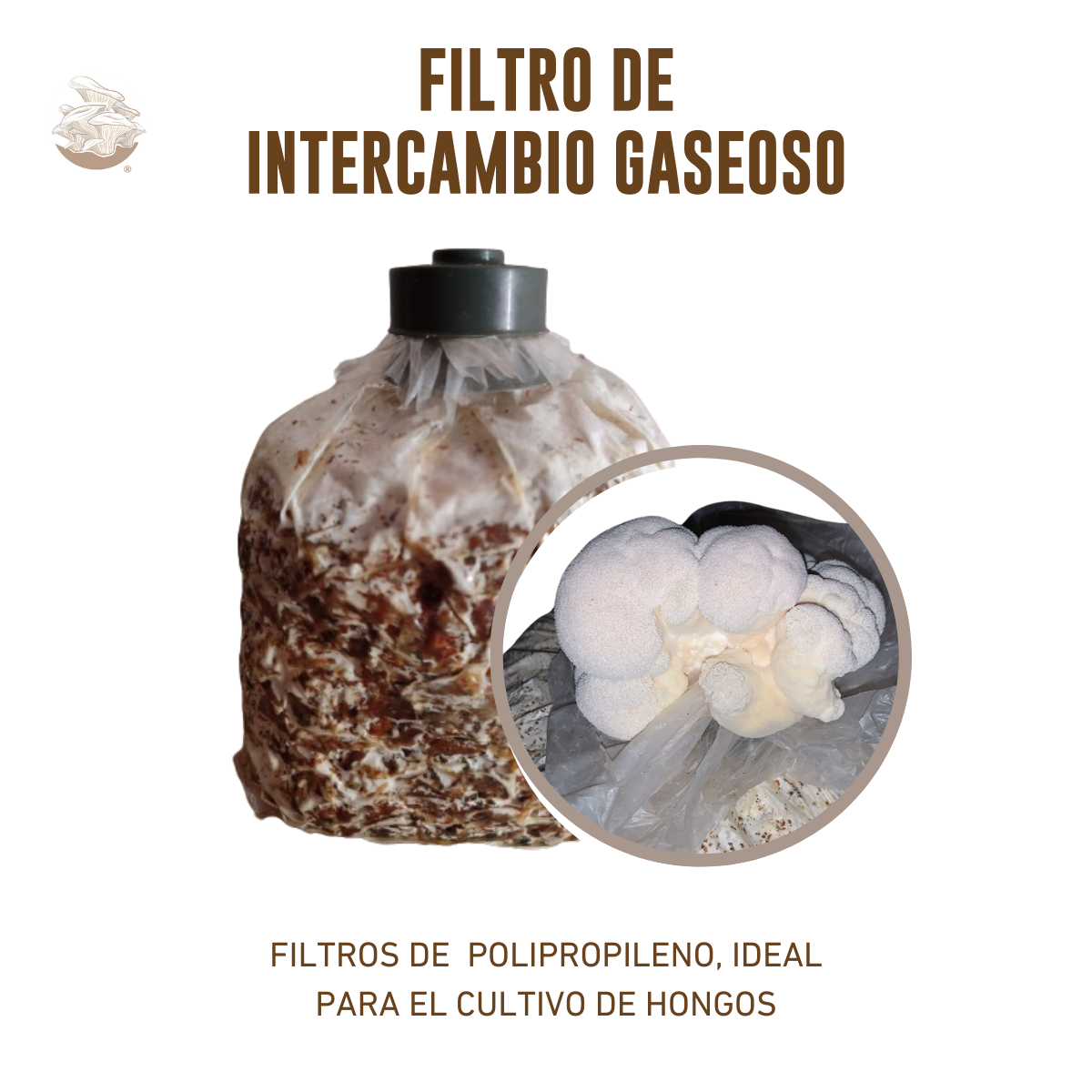 FILTROS PARA EL CULTIVO DE HONGOS