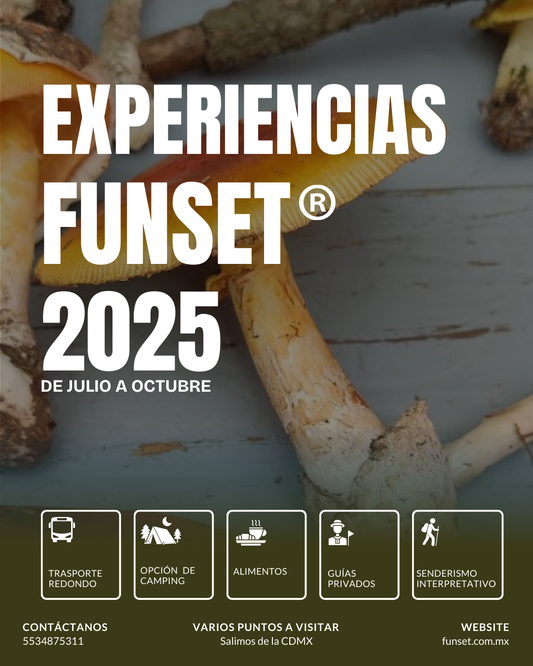 EXPERIENCIAS MICOLÓGICAS