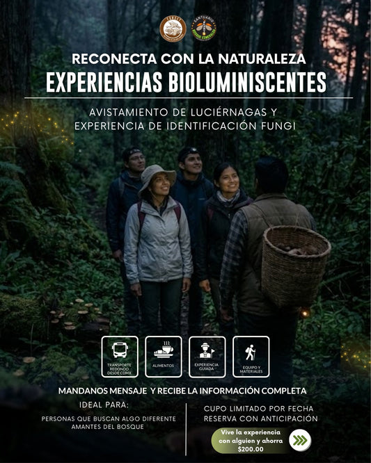 EXPERIENCIA BIOLUMINISCENTE