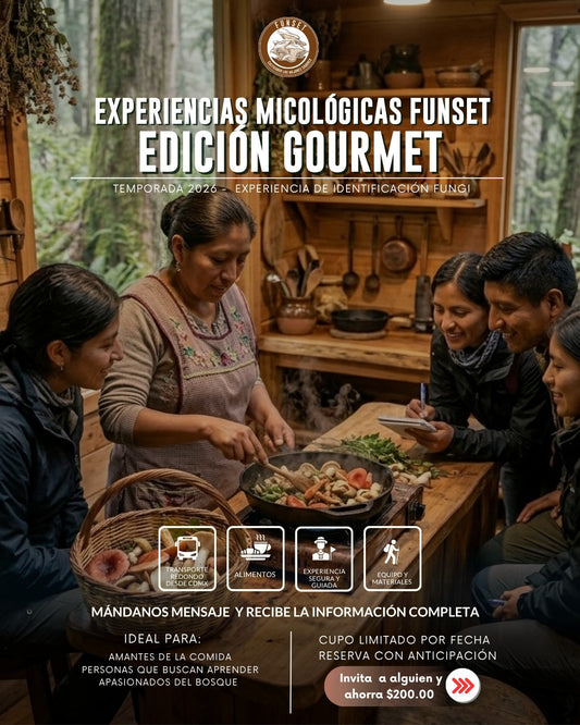 EXPERIENCIAS FUNGI: GOURMET