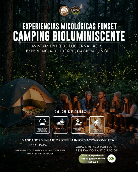 EXPERIENCIA BIOLUMINISCENTE: CAMPAMENTO