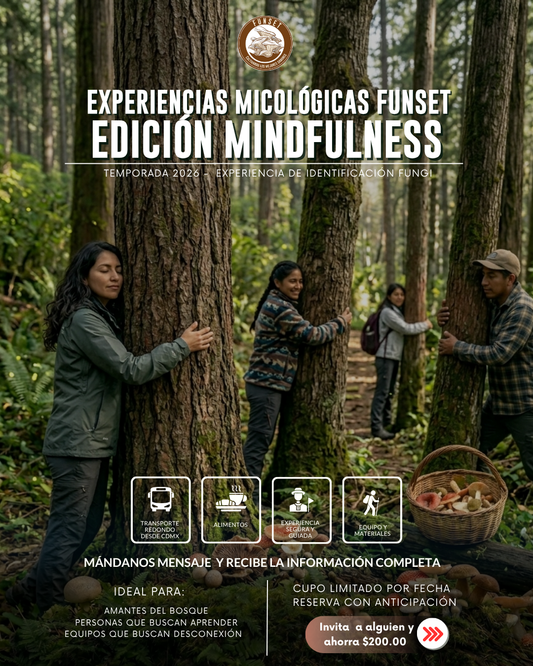 EXPERIENCIAS FUNGI: MINDFULNESS