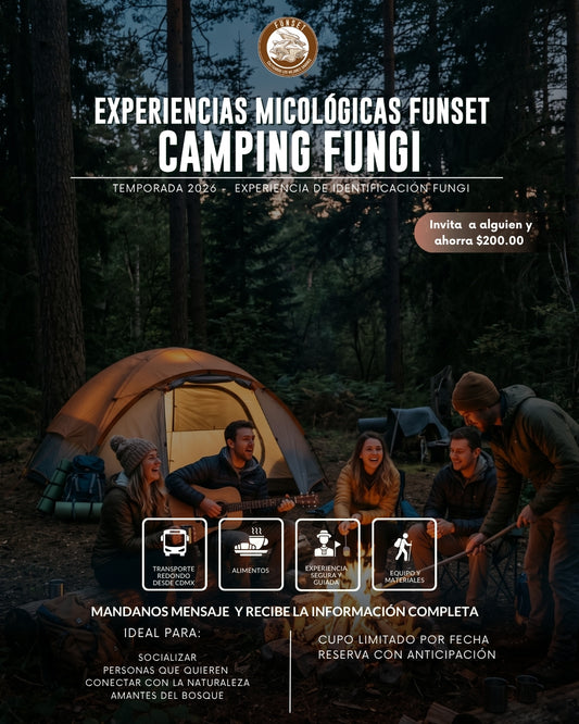 EXPERIENCIA MICOLÓGICA: CAMPAMENTO FUNGI