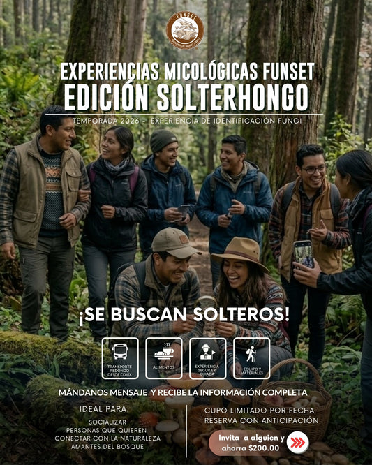 EXPERIENCIAS FUNGI: SOLTERHONGO
