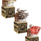 KIT TRADICIONAL TRIPLE CULTIVO DE SETAS