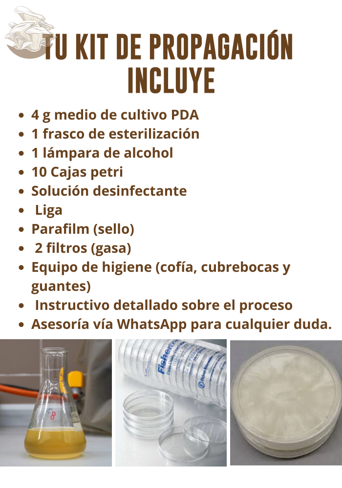 KIT PARA LA ELABORACIÓN DE MEDIO DE CULTIVO Y PROPAGACIÓN DE MICELIO