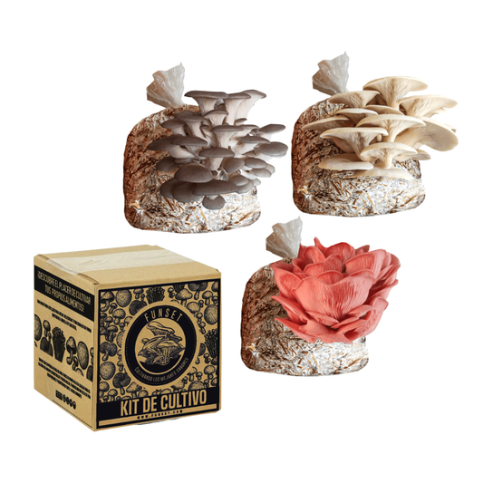 Kit Triple Funset Cultivo Seta Blanca, Gris Y Rosa En Casa