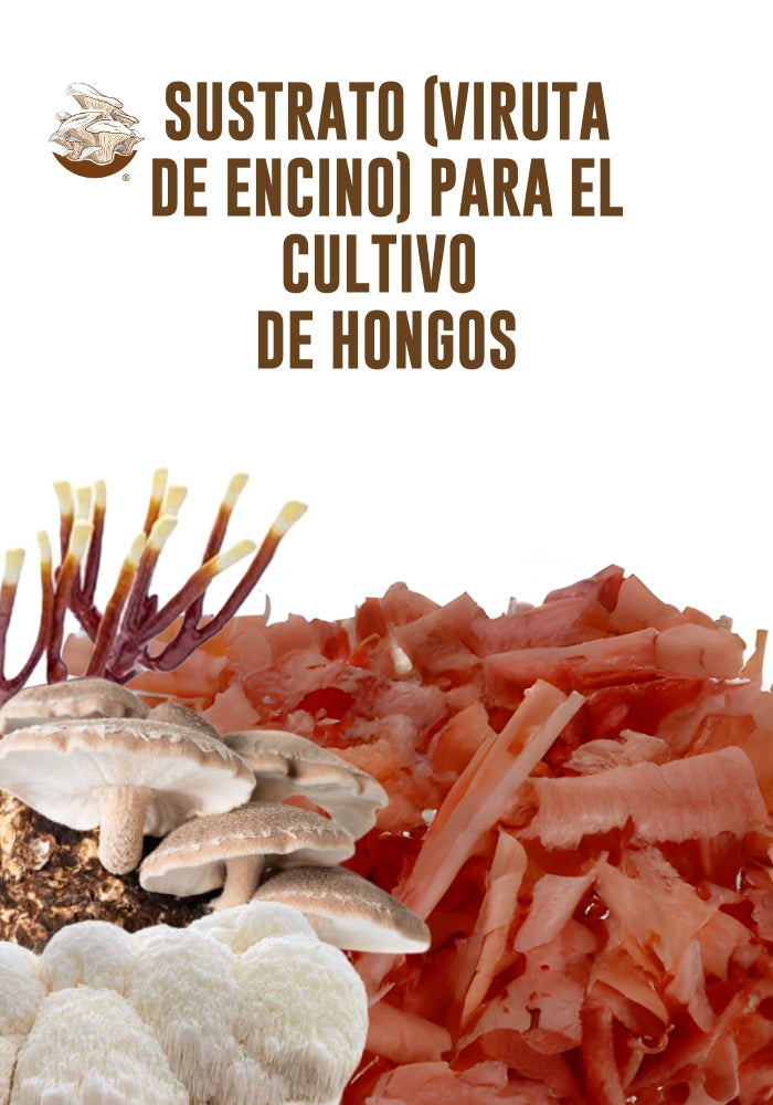 VIRUTA DE ENCINO (SUSTRATO PARA EL CULTIVO DE HONGOS) 5kg