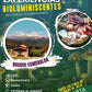 EXPERIENCIAS BIOLUMINICENTES- CAMPAMENTO