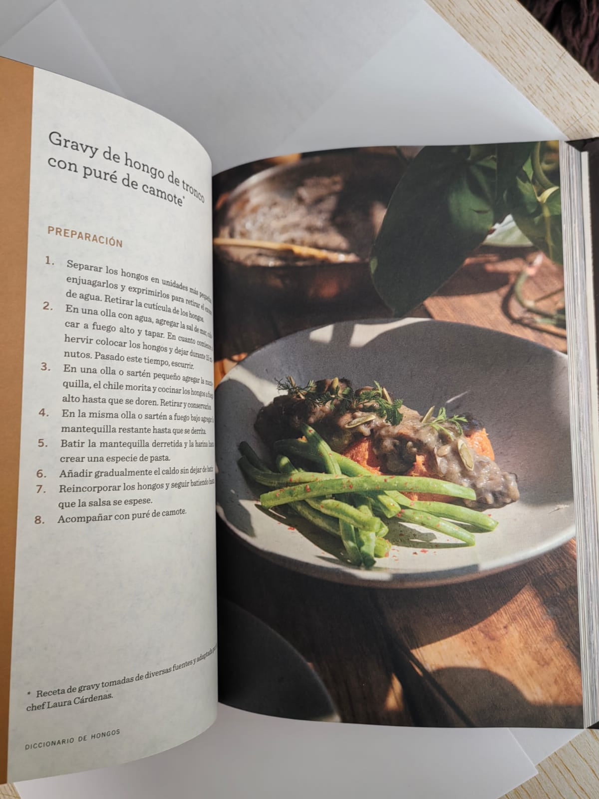 Diccionario gastronomico de hongos mexicanos