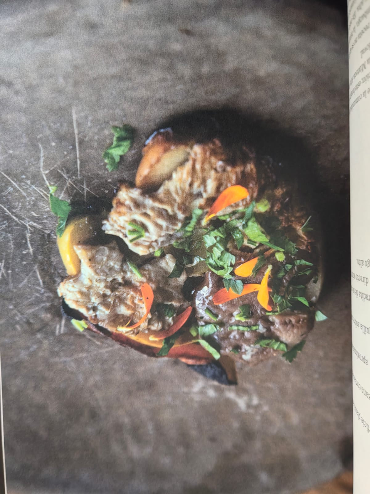 Diccionario gastronomico de hongos mexicanos