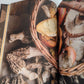 Diccionario gastronomico de hongos mexicanos