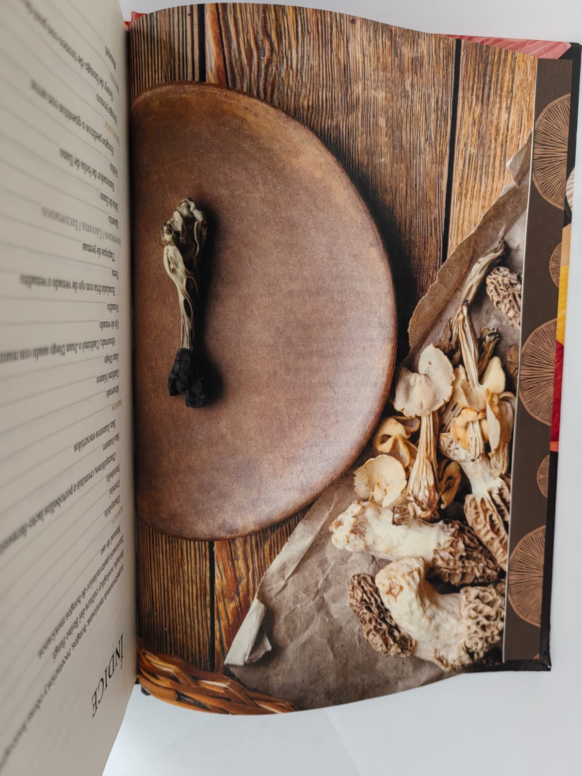 Diccionario gastronomico de hongos mexicanos
